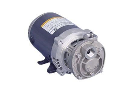 T31 Series Regenerative Turbine Pumps
