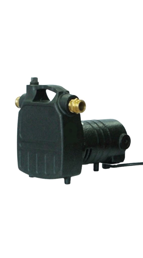 CPACE Pump